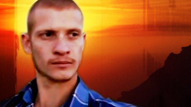 Если дельфины такие умные, то почему они не построили свою цивилизацию?
