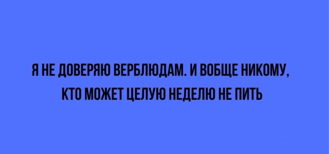 Так себе картинки 07.07.24