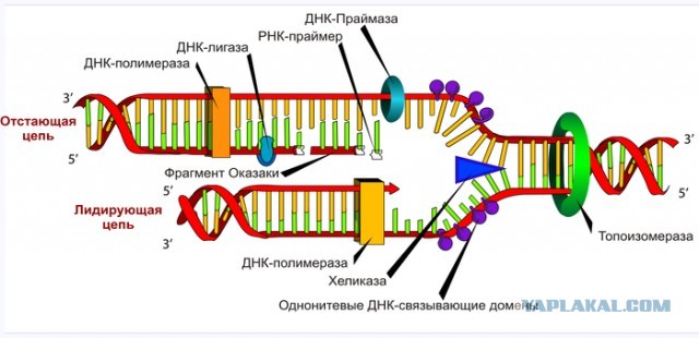 Немного о "бесполезной" науке