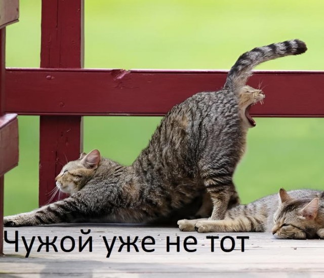 Завалялось тут случайно немного забавных картинок