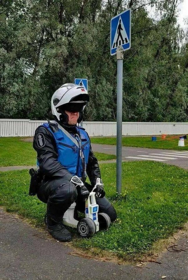 Прикольные и просто красивые картинки