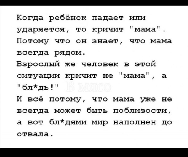 Так себе картинки 07.11.24