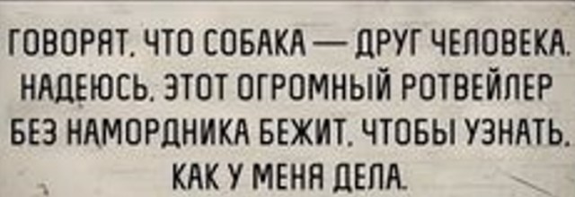 30 картинок на субботу
