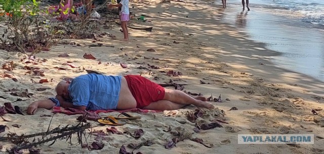 Как тебе,нормально?Нормально!