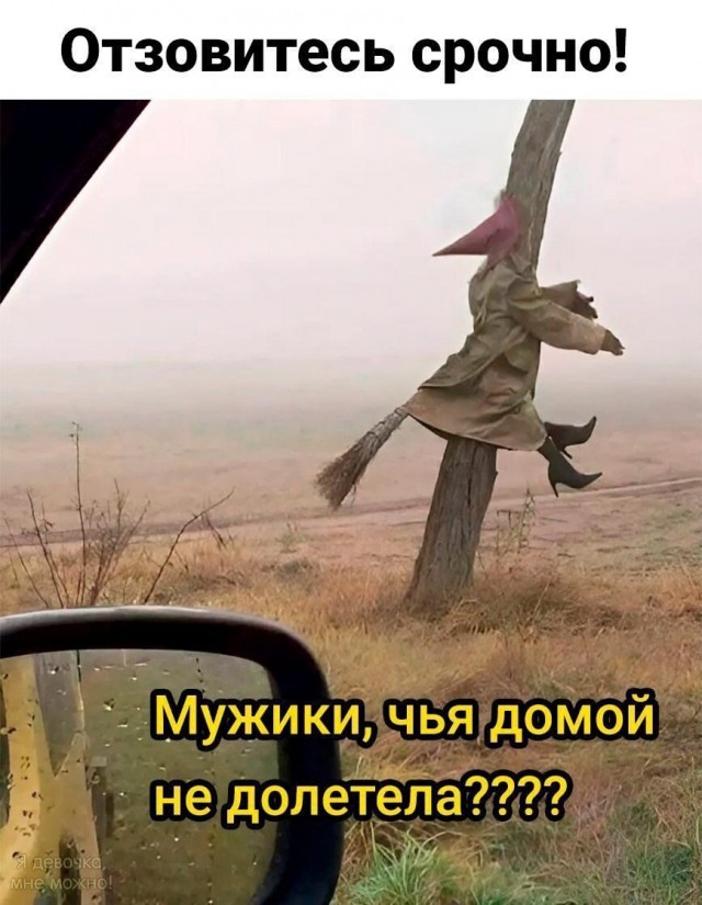 Так себе картинки 04.03.25