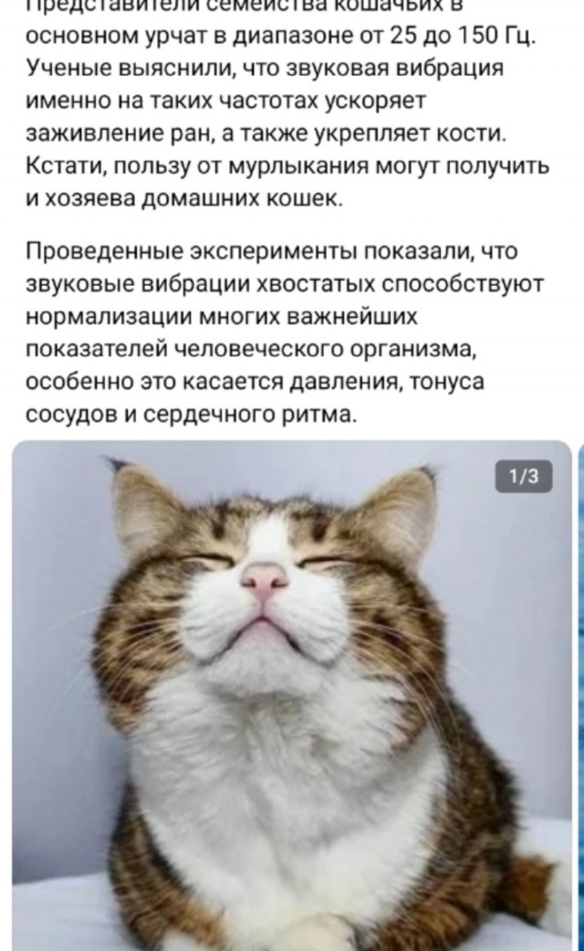 Так себе картинки 08.03.25