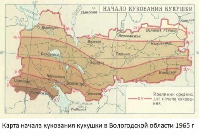 А когда будет восстание машин?