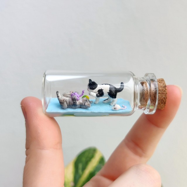 Котята в бутылочках