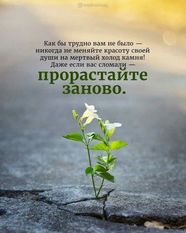 Прикольные и просо красивые картинки 05.09.2025