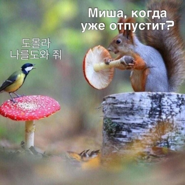 Картинки для деградации 44 (разной степени свежести)