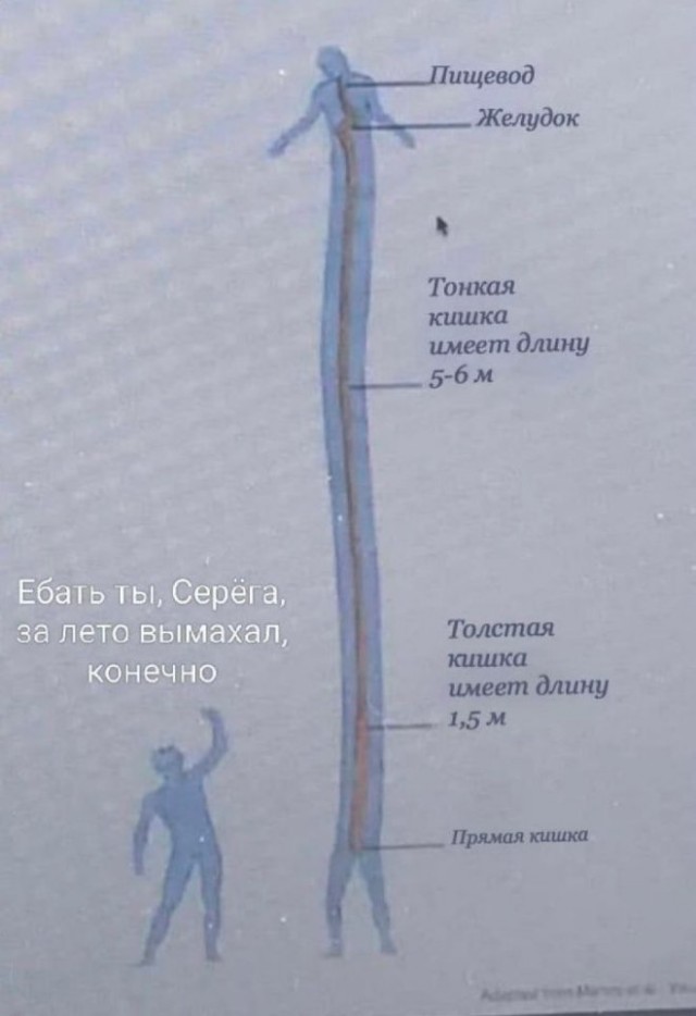 Картинки для деградации 48 (разной степени свежести)