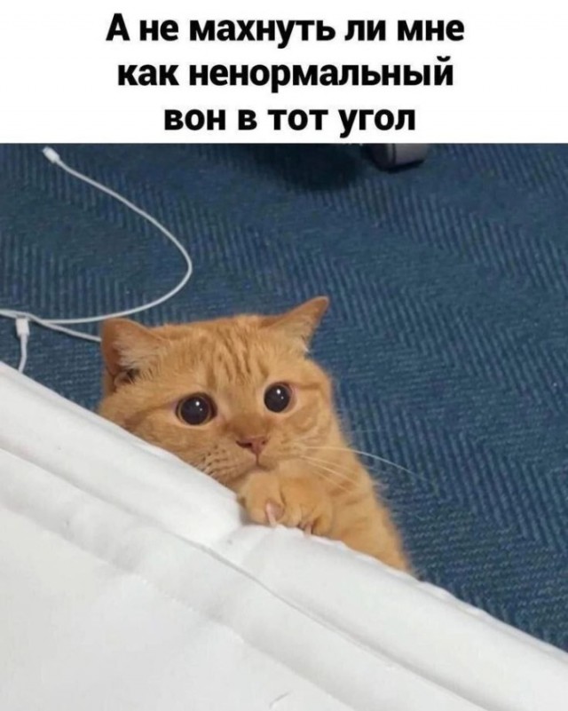 Смешнявых и не очень картинков пост