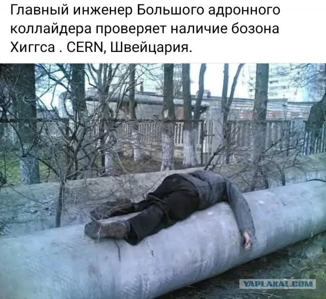 Творческие личности в интернете