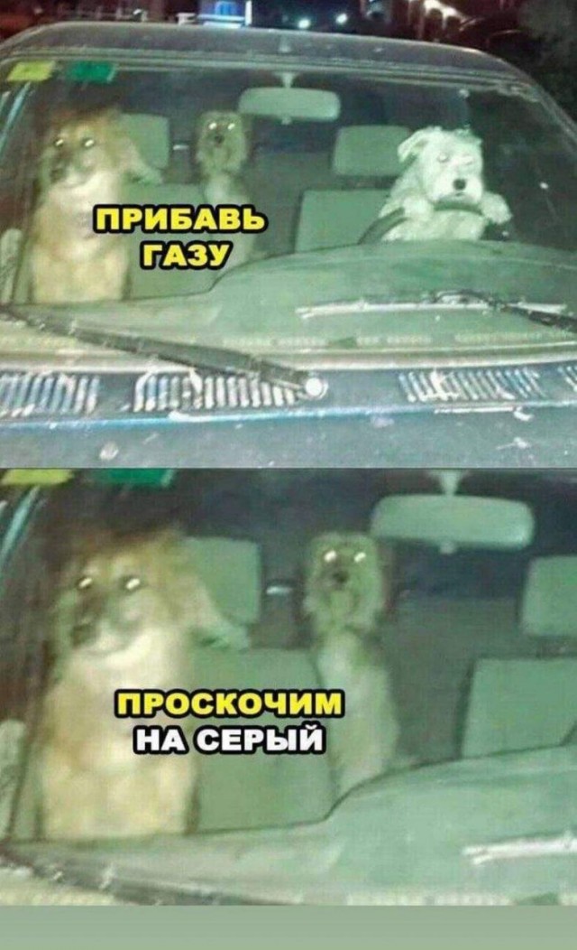 Среда обитания 0.1
