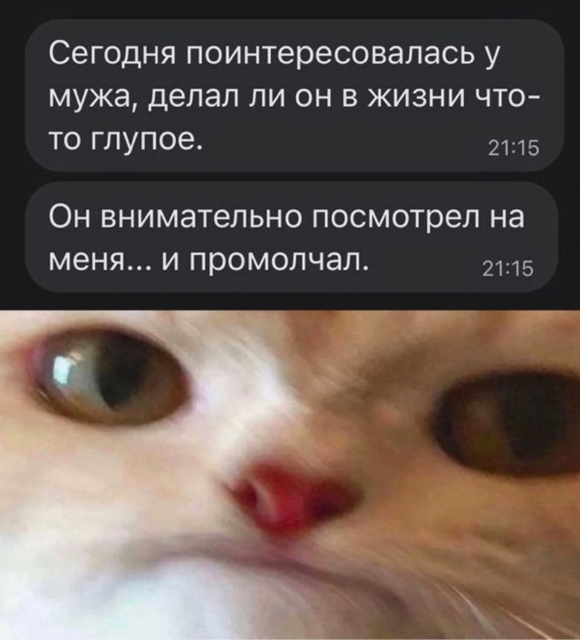 Очередного понедельника картинки