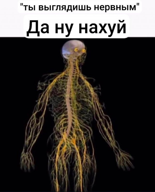 Картинки для деградации 129 (разной степени свежести)
