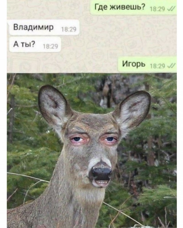 Деградация
