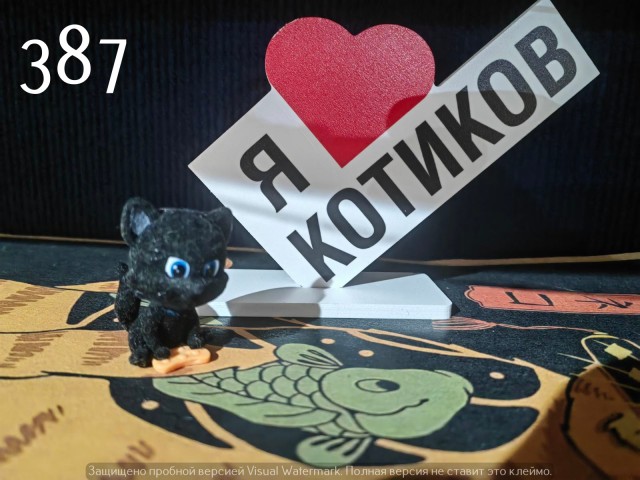 Жизнь домашнего приюта "Котоленд" 537