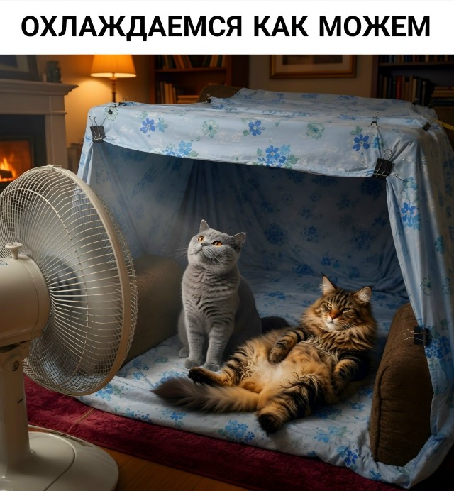 Так себе картинки 27.07.26