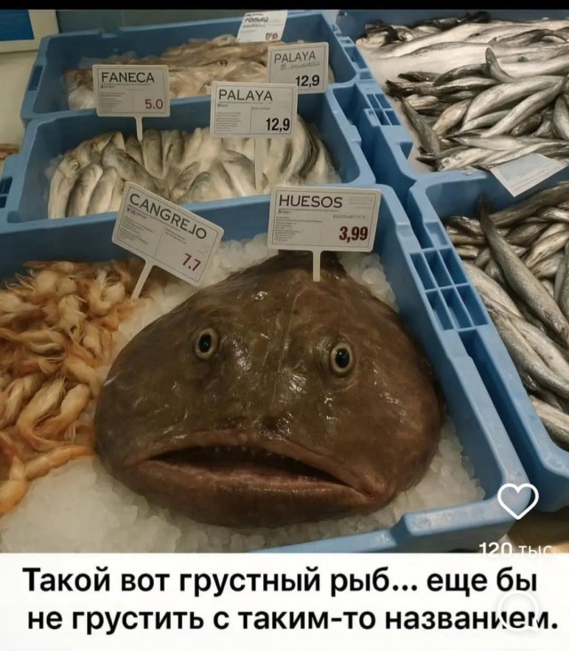 Изображения для сокращения лицевой мускулатуры #3
