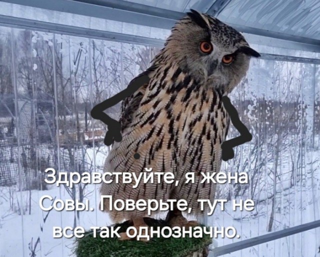 Одинокая дама хочет движа