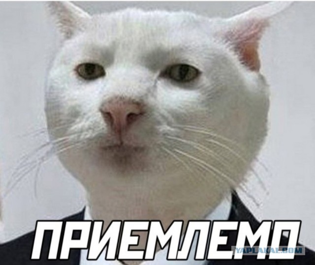 На следующую рабочую неделю ничего не планируйте!