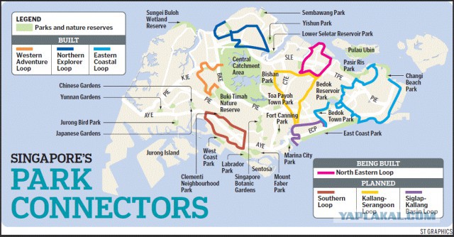 Испытание Москвы на эластичность