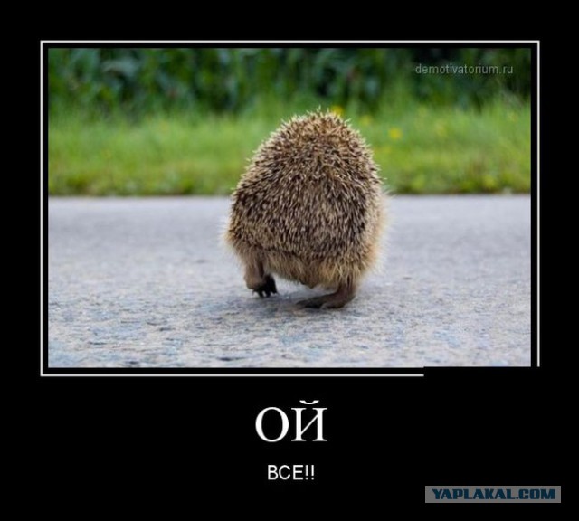 Демотиваторы