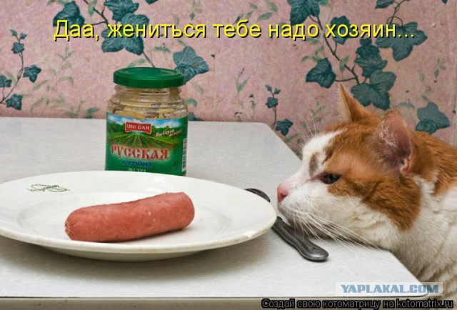 Понеслась