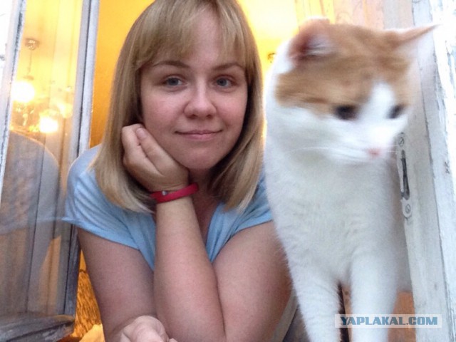 Котовторник