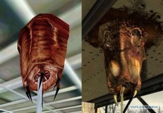 Коттедж опасных соседей