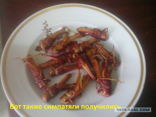 Аццкая кухня 2  (кулинарный адъ)