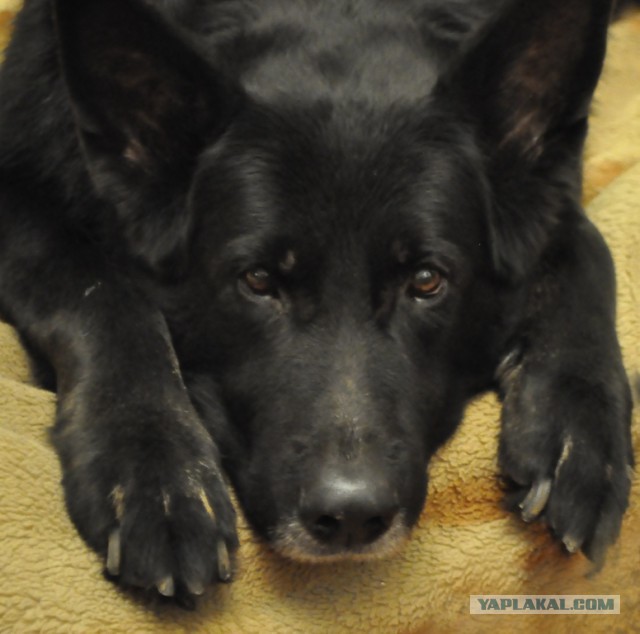 Сбербанк - уровень "Бог"