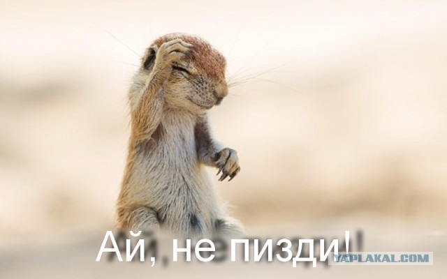 Встреча одноклассников