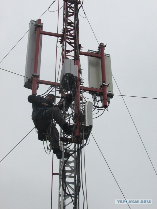 Трудовой народ в лицах