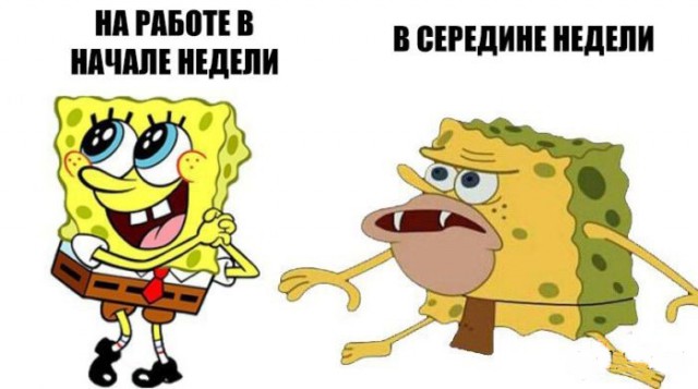 Смешные картинки с надписями
