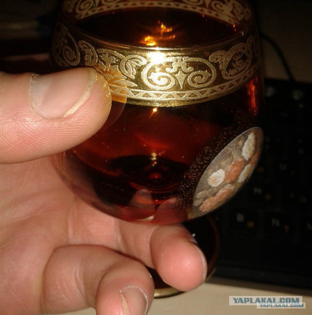 ЯПовцы работают и отдыхают