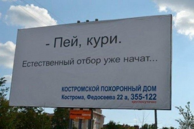 Подборка безудержного веселья