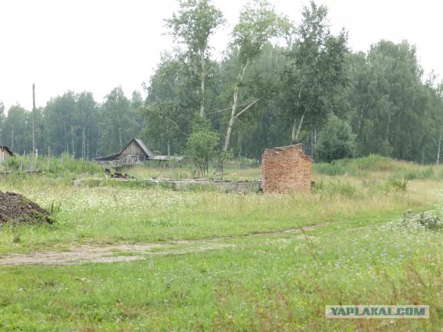 Мой родной сибирский поселок