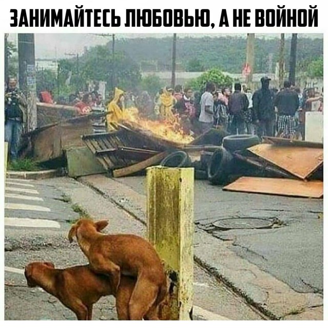 Подборка интересных и веселых картинок