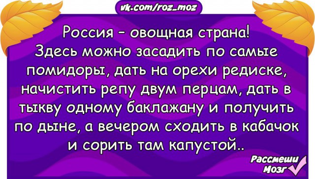 Субботняя деградация