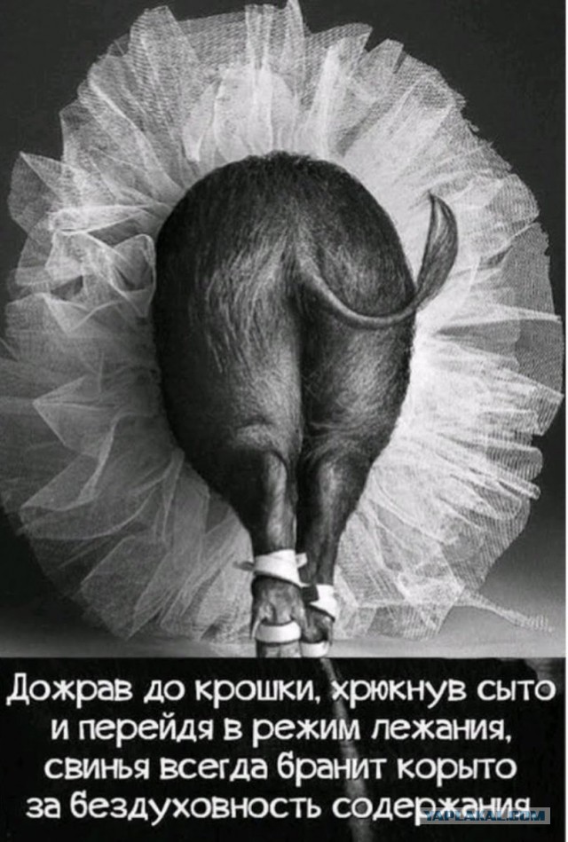 Пакуйте чемоданы