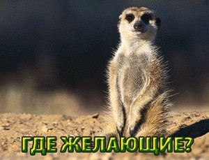 Битва Фотожаберов №7