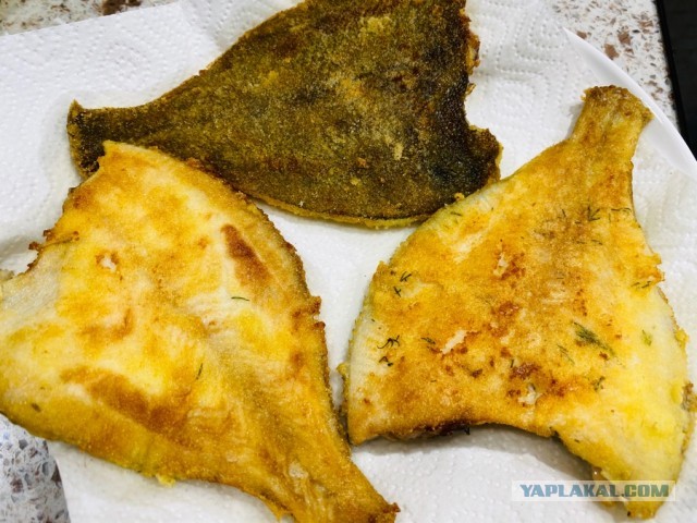 Жаренный берш с медово-огуречным соусом.