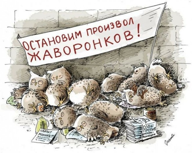 Хронотипическая дискриминация