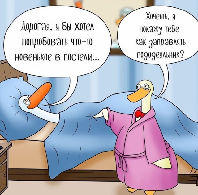 Немного картинок для настроения 20.06.20
