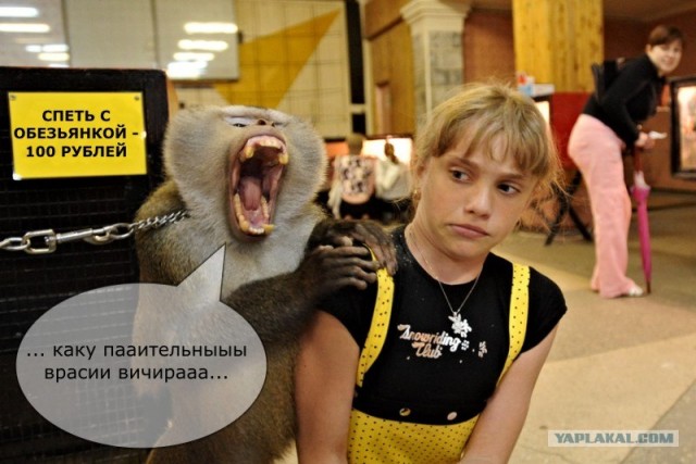 Фотожаба: Не совать!