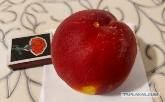 Алкогольная тема для того, чтобы выпустить пар