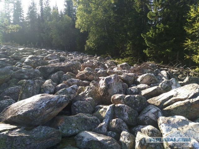 Где-то на Урале лес заменяет людям небо