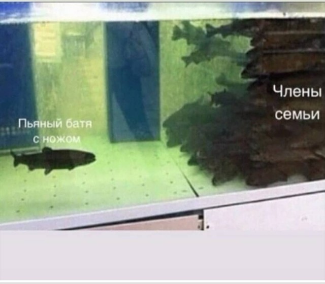 Что женщины думают про холостяков